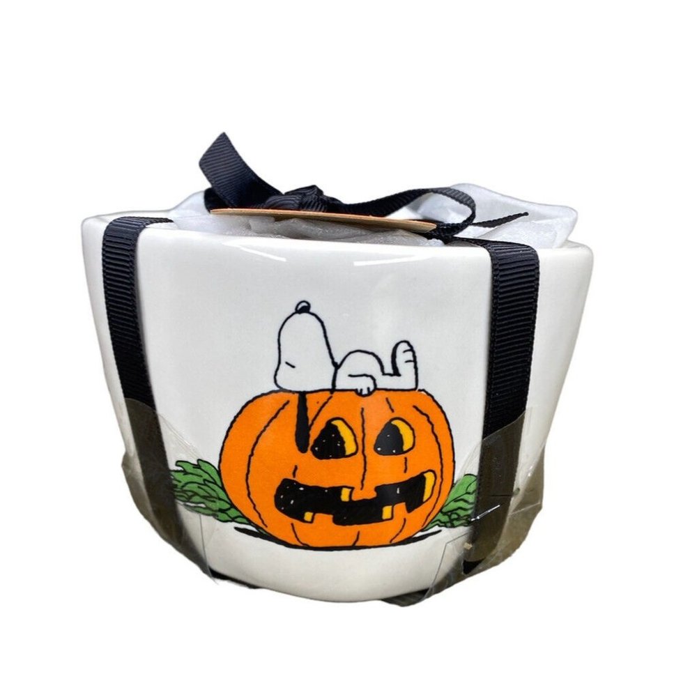 RAE DUNN PEANUTS Measuring Cups Halloween Double Sided Snoopy NWT 2023